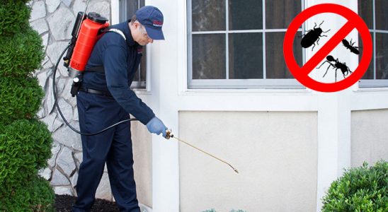 Gölhisar Fare İlaçlama böcek ilaçlama ve haşere kontrolü — ilaclama-tr.com